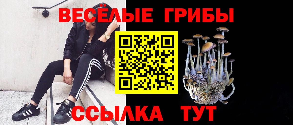 Псилоцибиновые грибы Cubensis  Вход с VPN  Галлюциногенные грибы мицелий  Александров 